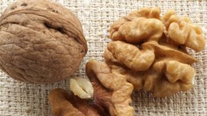 Грецкий Орех. Привитые саженцы или сеянецы Идеала? Что выбрать?