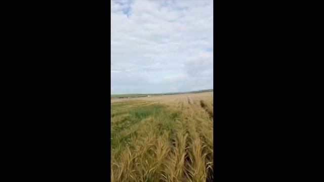 ВОСПОМИНАНИЕ О ЛЕТЕ / ГРЯЗЬ,ПОКАТУШКИ НА ПИТБАЙКАХ. смотреть онлайн