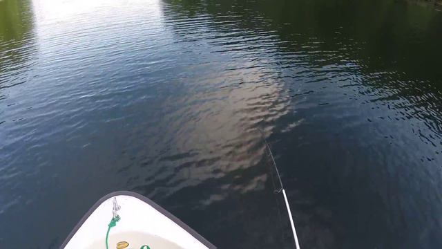 Big trout on light spinning смотреть онлайн