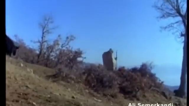 ISLOMIY KINOLAR. Ali Samarqandiy Hazratlari.  Исломий кинолар. Али Самарқандий хазратлари.