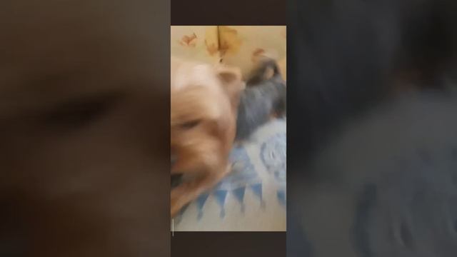 ❤️ смотреть онлайн