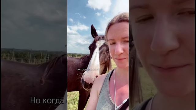 Приручение лошади #покажироссию #поепжикавказ #кавказ #лошади