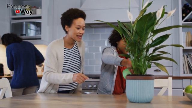 Полей Настоем Этим Цветы В Доме И Они Сразят Вас Своим Пышным Цветением! смотреть онлайн