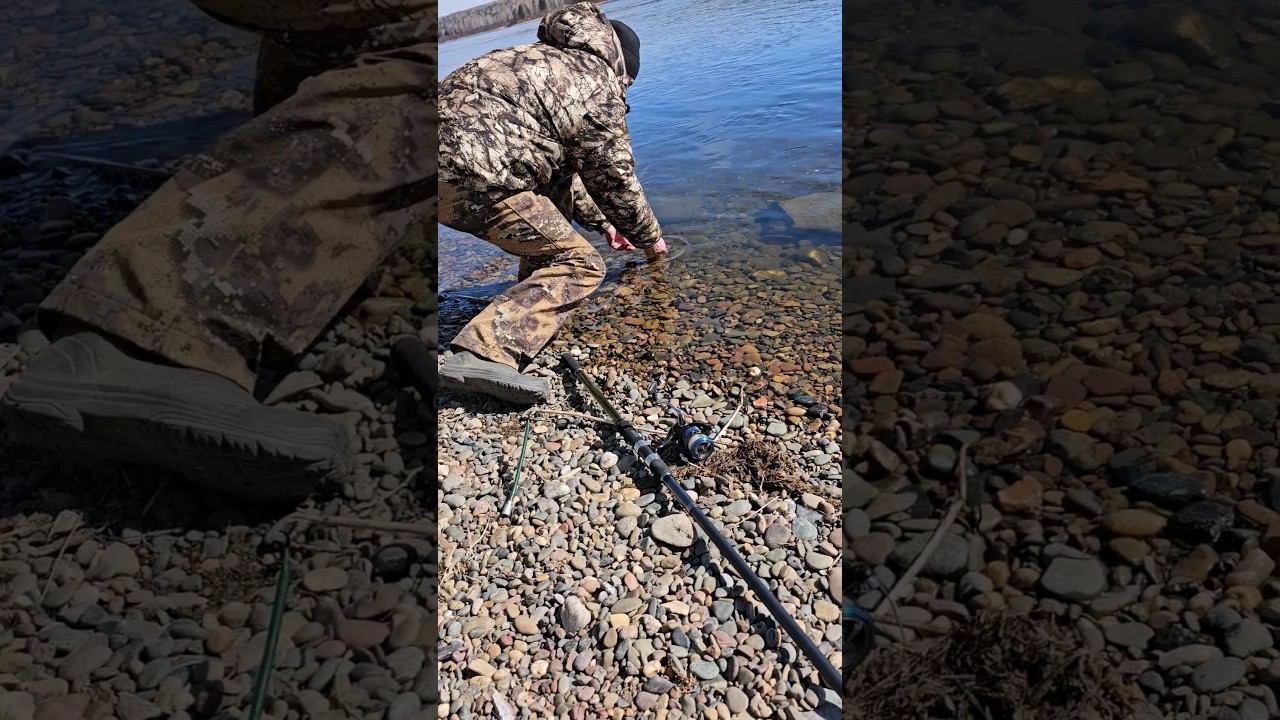 Правила Фестиваля смотреть онлайн