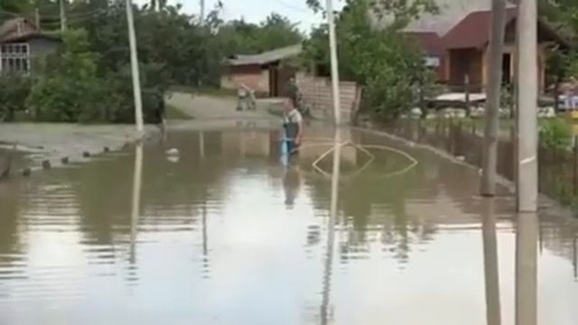 Кому потоп, а хто рыбу ловит, ещё и запрещенным способом смотреть онлайн