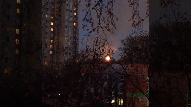 круглая, большая луна! смотреть онлайн