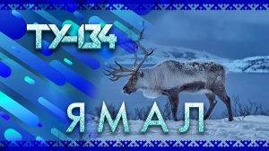 КРАСИВАЯ ПЕСНЯ ПРО СЕВЕР! ? Группа ТУ-134 – ЯМАЛ (2020)