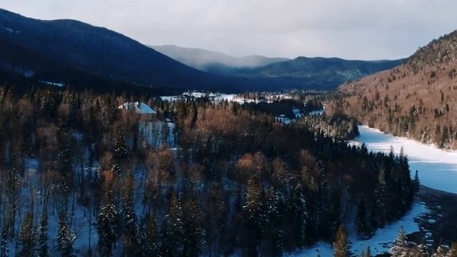 С ТЕЩЕЙ НА ДАЧЕ... ИСТОРИЯ ИЗ ЖИЗНИ. Теща и зять. История с тещей и зятем. Интересные истории. смотреть онлайн