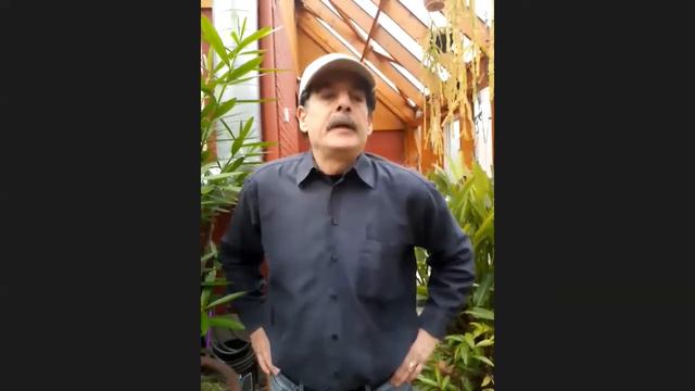 Ask the Expert Gardeners смотреть онлайн