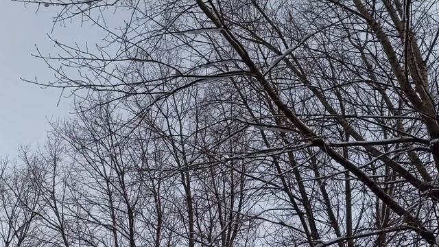 14 декабря народный праздник Наум Грамотник. Что делать нельзя. Народные приметы и традиции. смотреть онлайн