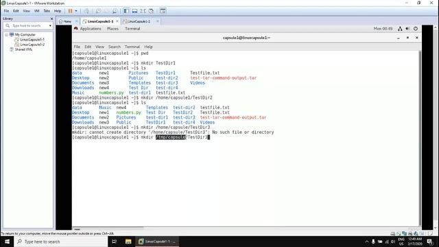 020. Linux Capsule - LSA 1-1 - Capsule 2 - Section 3 - Managing Files ( Part 1 ) смотреть онлайн