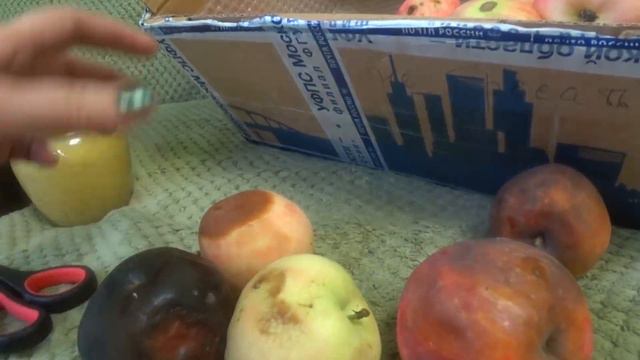 12.09.18 Похолодало. Посылка от Ларисы Лекси. Сибирские рукодельницы . смотреть онлайн