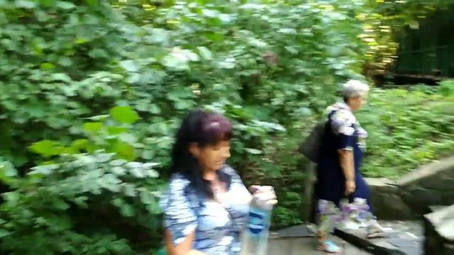 Паломницька поїздка по монастирях Черкащини 31 липня 2018 смотреть онлайн