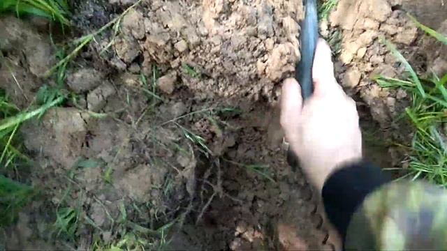 Вознаграждения за долгий поход или как Витя и Валера в лес ходили. смотреть онлайн