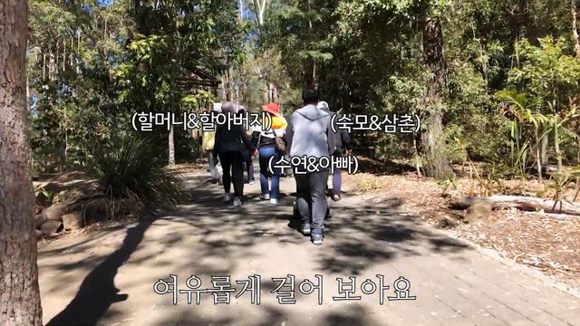 호주 골드코스트 추천 여행 코알라 캥거루 양까지 만나요 호주여행 브이로그 смотреть онлайн