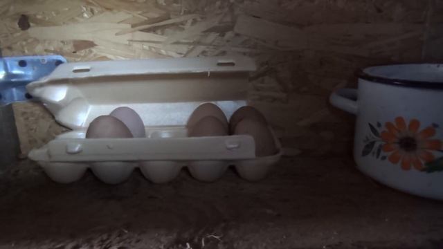 Запасы продуктов на зиму в деревне. К зимовке готовы! / Жизнь в деревне. смотреть онлайн
