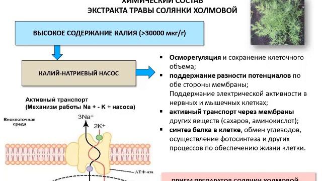 Постковидный хвост - Как устранить последствия от перенесённой инфекции. смотреть онлайн