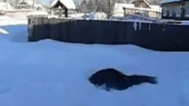 Жесть падение смотреть онлайн