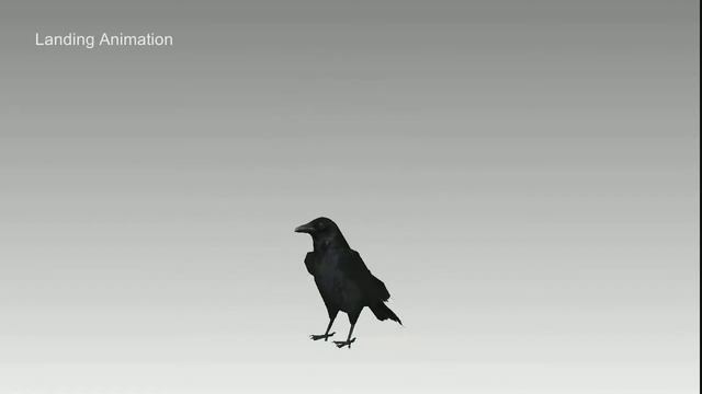 Carrion Crow Animations Demo смотреть онлайн