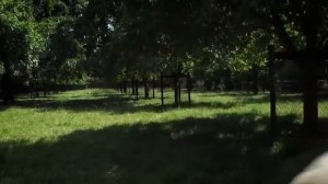 Три немки поют песню