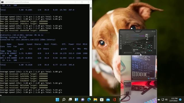 RTX A4000 Hashrate Review смотреть онлайн