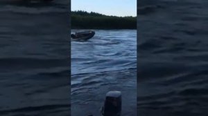 Дрифт на резиновой лодке