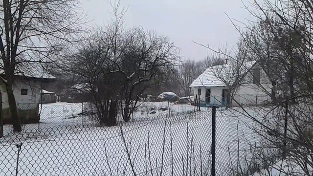 Наши азиаты и корги играют с соседским конем смотреть онлайн