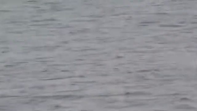 Судомоделирование