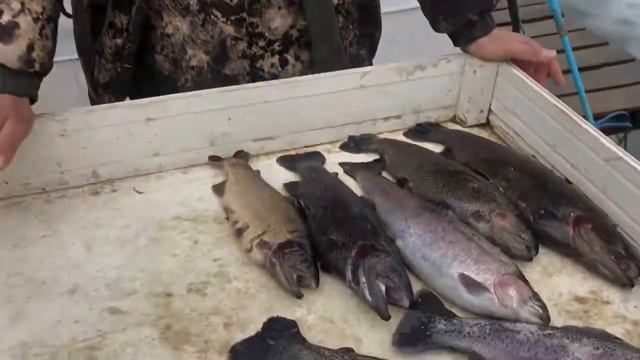 1 апреля 2021 г. смотреть онлайн