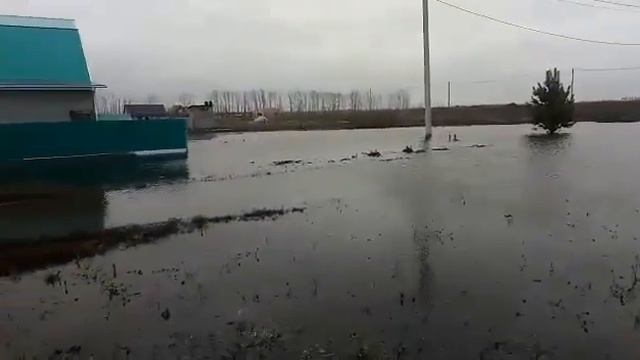 Село Плеханово затопило смотреть онлайн