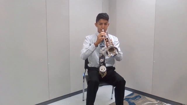 Diego Desantiago performs Andante et Allegro by J Guy Ropartz смотреть онлайн