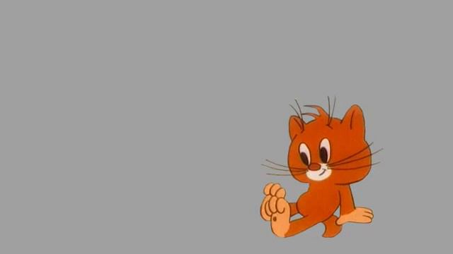Котик сидит на хромакее смотреть онлайн
