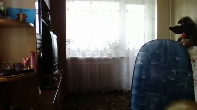 Видео c веб-камеры от 8 ноября 2015 г., 11:03 (UTC) смотреть онлайн