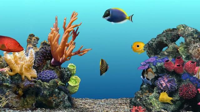 Виртуальный коралловый аквариум | Виртуальные рыбки | Заставка для ТВ