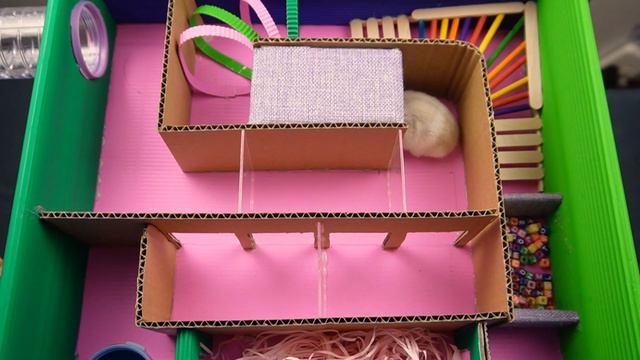 Hamster Maze With Traps The Best  Hamster Challenges