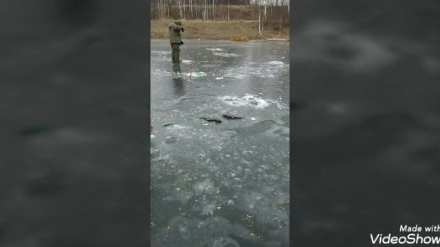 28.12.19 . Фото отчёт рыбалки осетр, форель, налим в кокино смотреть онлайн