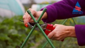 Установка шпалеры для огурцов