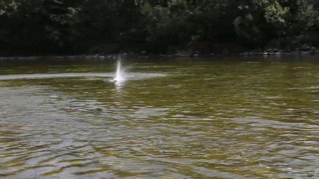 ProBoat React 17" Brushless Motor + LiPo Upgrade смотреть онлайн