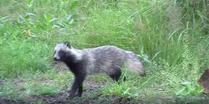 Алла Пугачёва - Этот мир придуман не нами.mpg