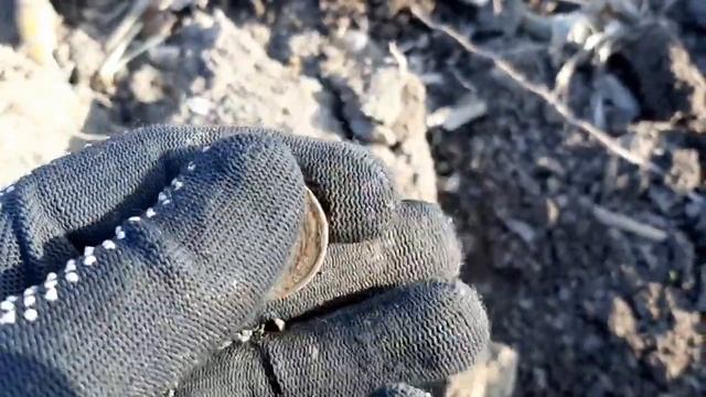 Чисто Советские фундаменты коп по мусорке. смотреть онлайн