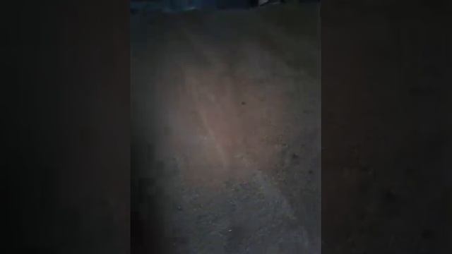 Ангар(хранилище зерна) своими руками 170 квадратных метров. Бюджетный склад на 200 тонн. смотреть онлайн