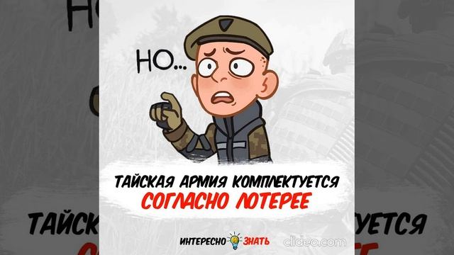 перед ланчем 27.08 4 смотреть онлайн