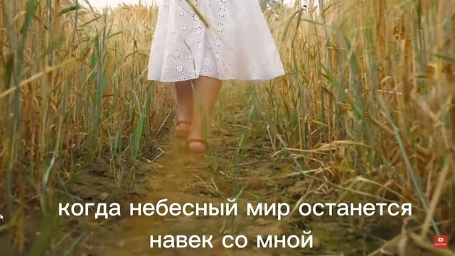 Стихотворение МИР смотреть онлайн