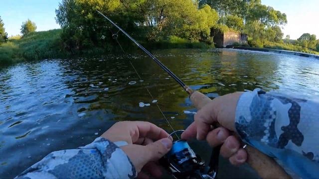 Обзор Abu Garcia Eradicator Real Finesse Prototype ERFS-46Pro-ST Navigator - Первая рыбалка смотреть онлайн