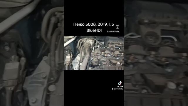 Peugeot 5008, 1.5 BlueHDI, 2019, обзор