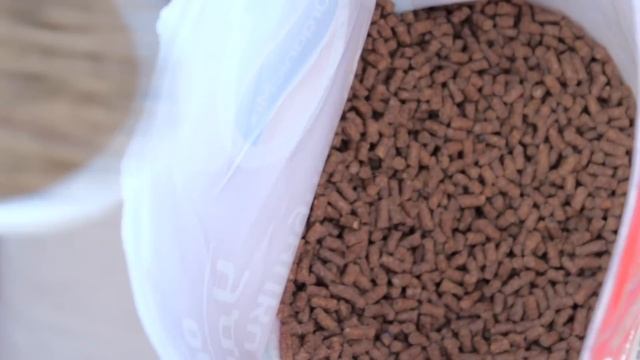 Клубника на миллион! Высадка и подкормка клубники. Марина Рыкалина советует. смотреть онлайн