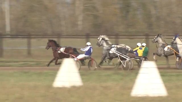 Конноспортивный праздник Золото Алтая смотреть онлайн
