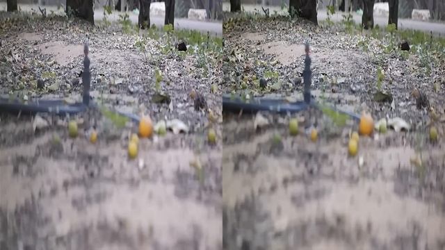 Samsung NX300 3D Sample смотреть онлайн