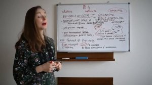 Витамин В4 - карнитин