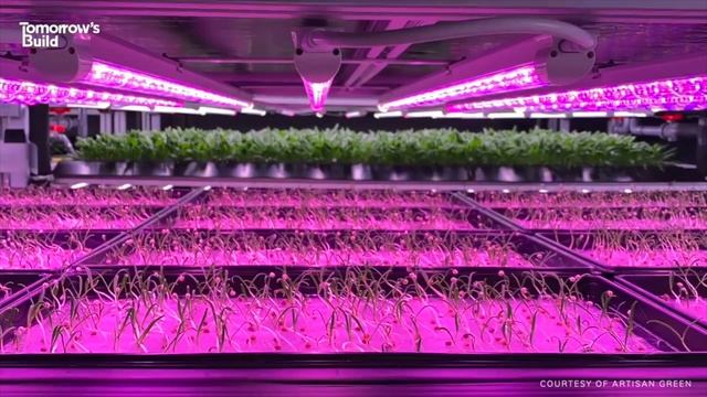 Городские фермы #гидропоника #аэропоника #здоровоепитание #здоровыйобразжизни #бизнесидеи #хобби смотреть онлайн